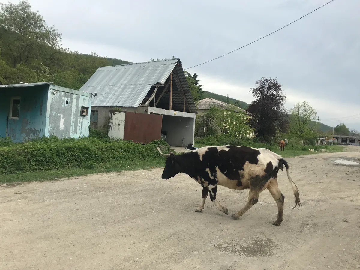 Ленингорский район. Фото: Ирина Гарина, специально для «Новой газеты Европа»