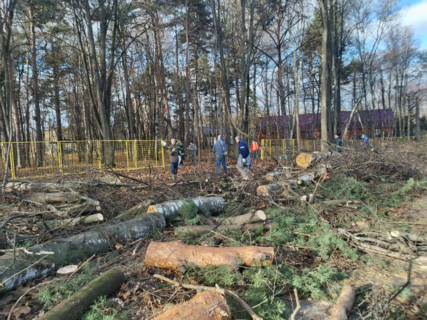 Вырубка в парке Покровское-Стрешнево. Фото: Telegram / СТОП ЭСТАКАДА канал