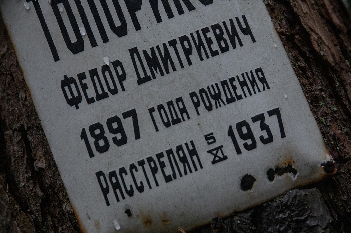 Левашовское мемориальное кладбище. Санкт-Петербург, Россия. Фото: «Новая газета Европа»