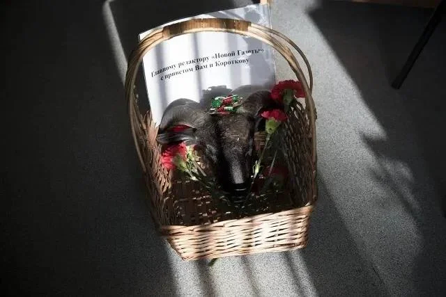 A severed ram’s head sent to the Novaya Gazeta office with a threatening message