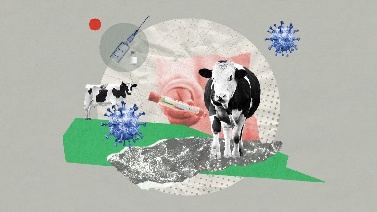 Эпидемия, которую нельзя называть